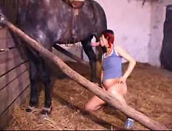 Femme enceinte suce son cheval 01
